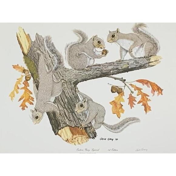 Gene Gray Signed Eastern Gray Squirrel Print 1st Ed Framed 1988 Wildlife Art - Picture 2 of 7